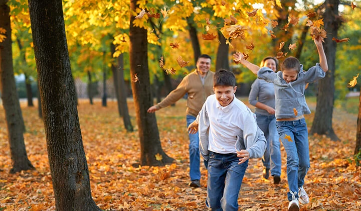Familie spielt im Park Familie spielt im Park