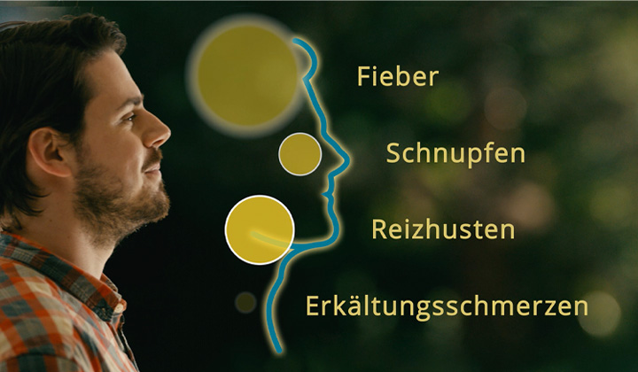 Grippostad® Wirkstoff Grippostad® Wirkstoff