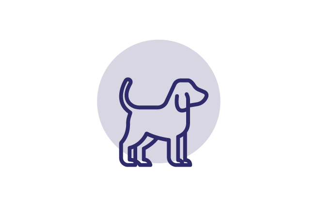 Schnupfen bei Allergien 